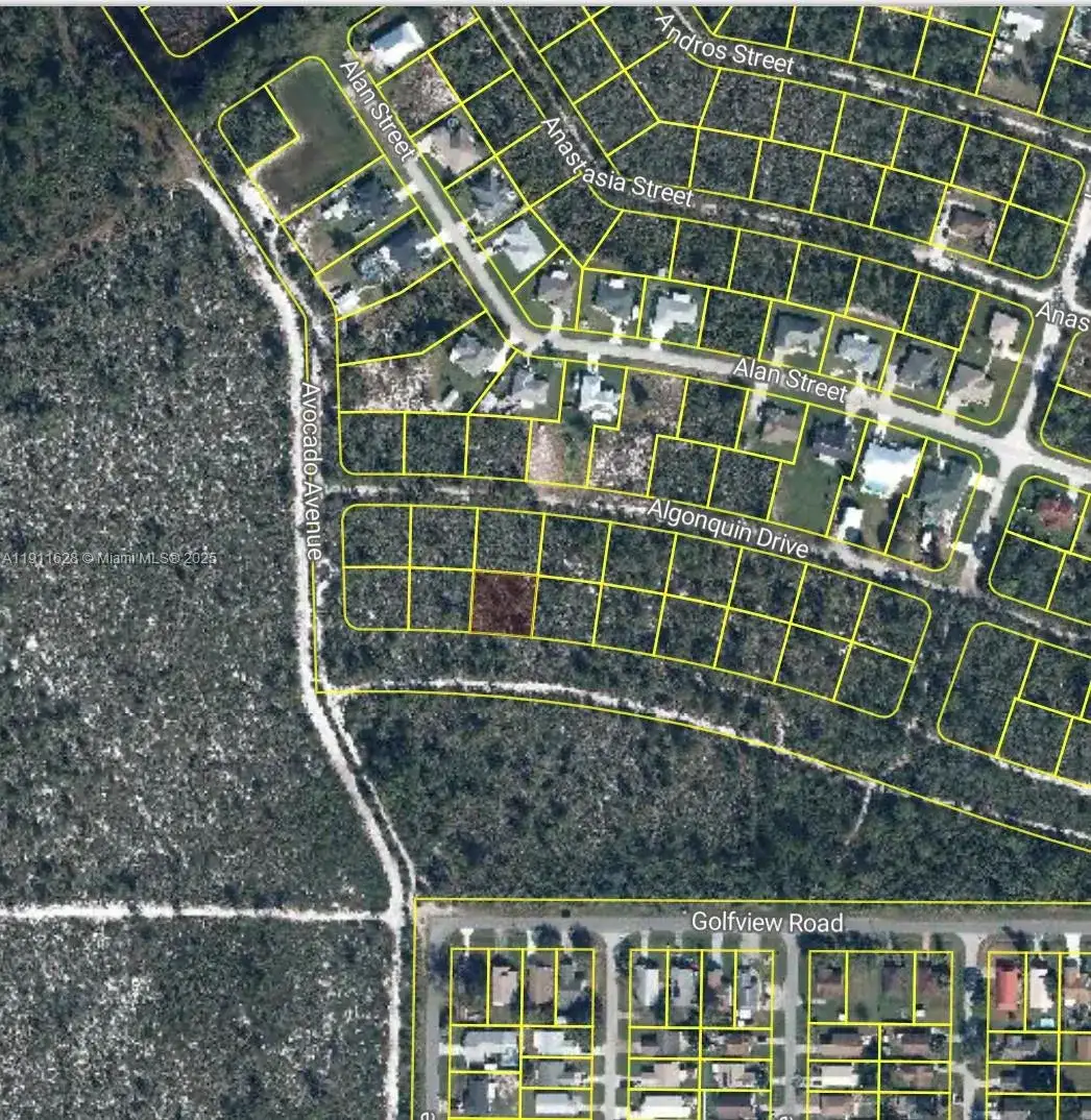 2224 Carla Ave, Sebring FL 33875 photo 2