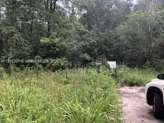 19220 N N Highway 329, Other City - In The State Of Florida FL 32667 photo 2