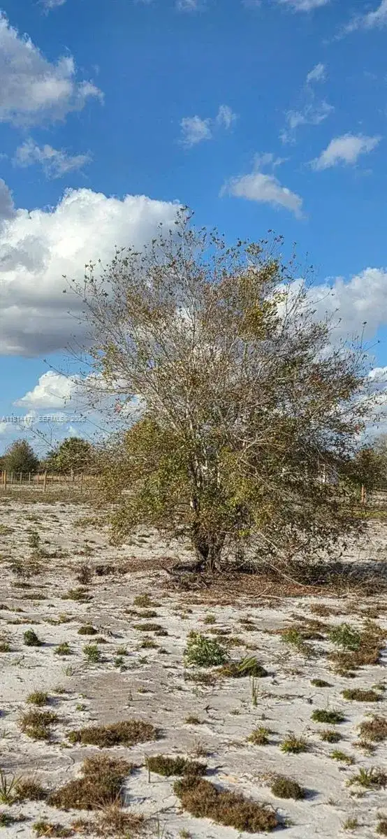 16525 NW 260 st, Okeechobee FL 34972 photo 3