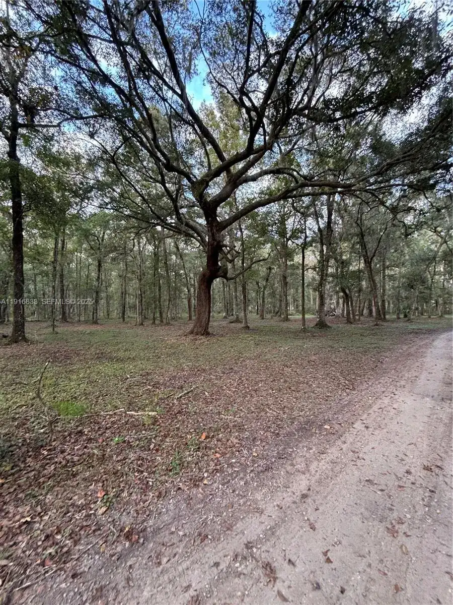 6169 COUNTY ROAD 209 S, Other City - In The State Of Florida FL 32043 photo 5