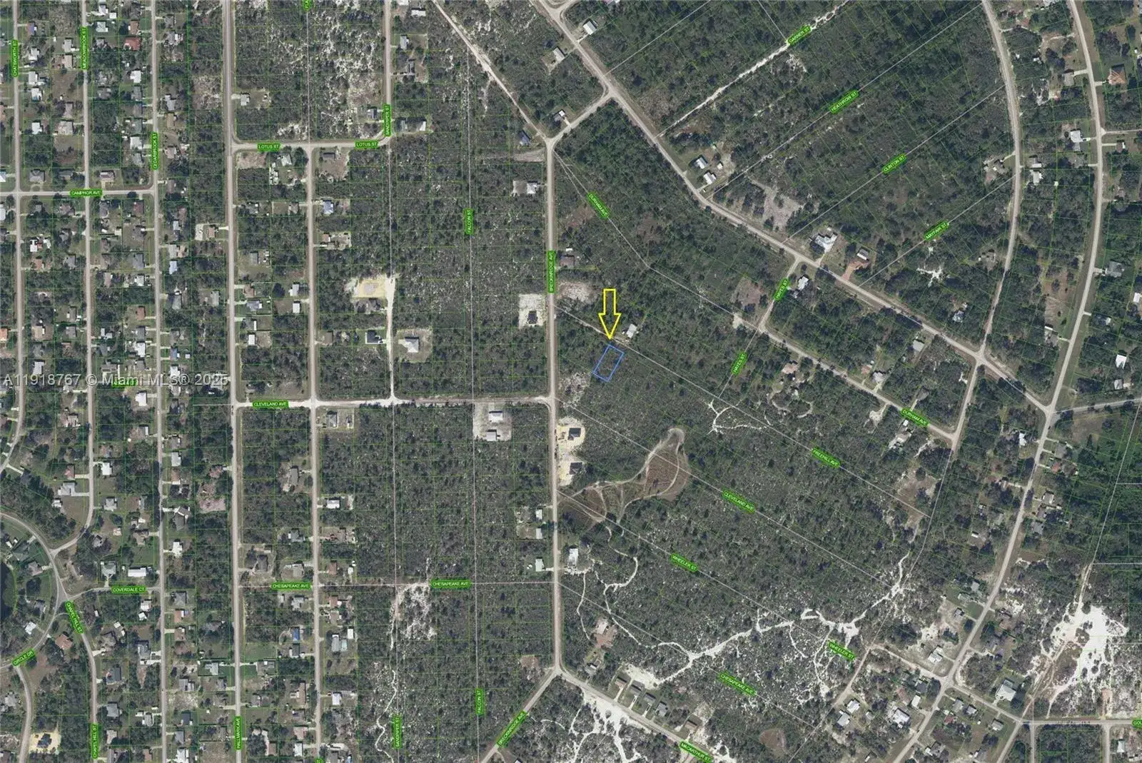 1027 FREEHILL AVE, Lake Placid FL 33071 photo 2