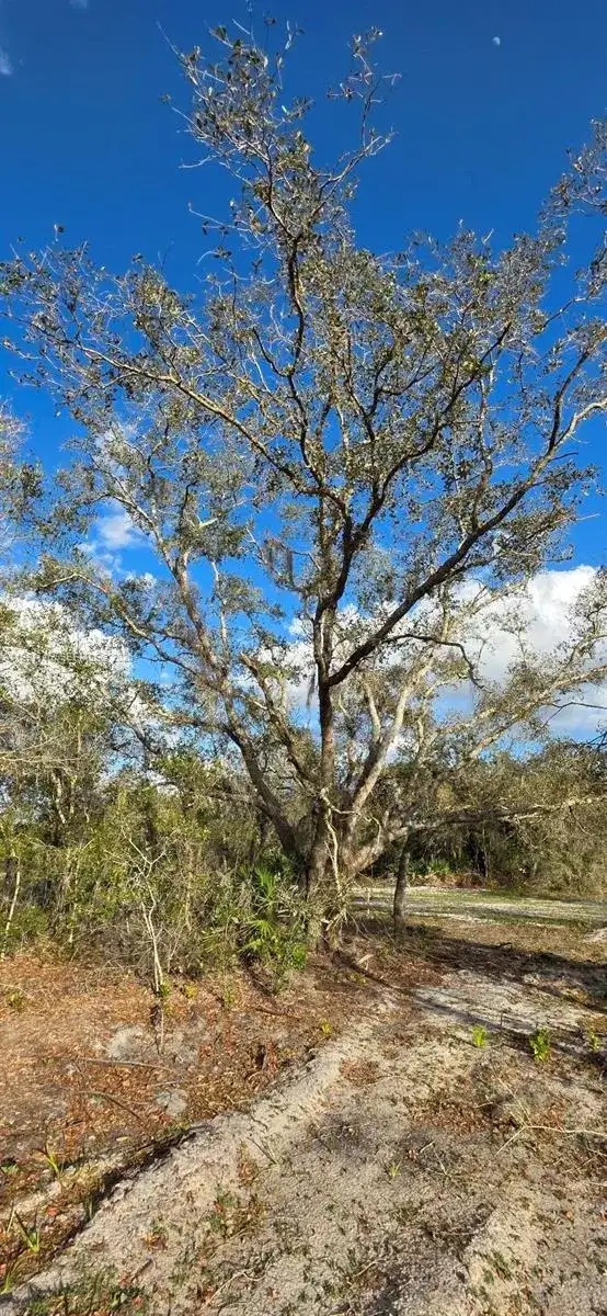 18678 NW 284 st, Okeechobee FL 34972 photo 2