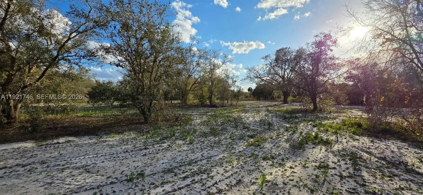 18678 NW 284 st, Okeechobee FL 34972 photo 3