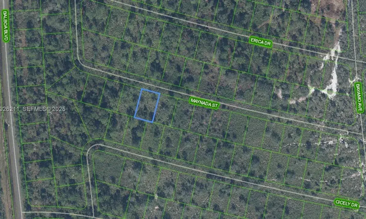 8725 MAYNADA ST, Sebring FL 33872