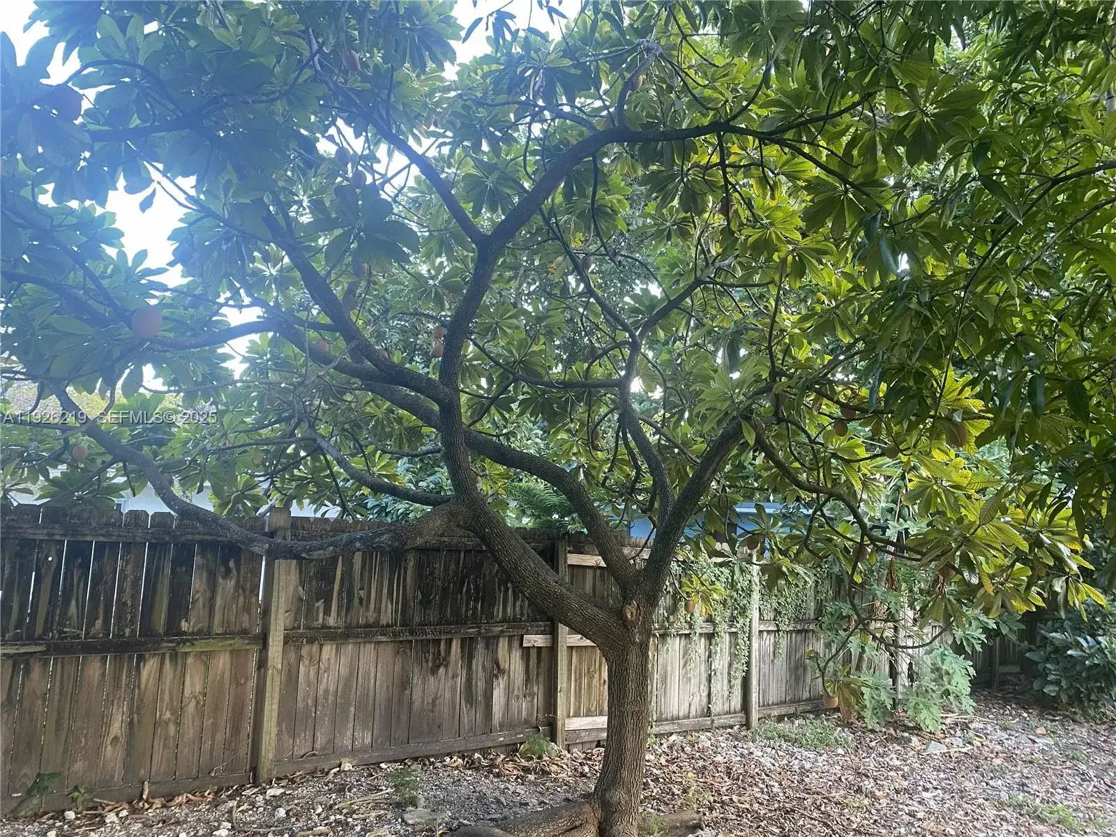 209 NW 17th Pl, Miami FL 33125 photo 2