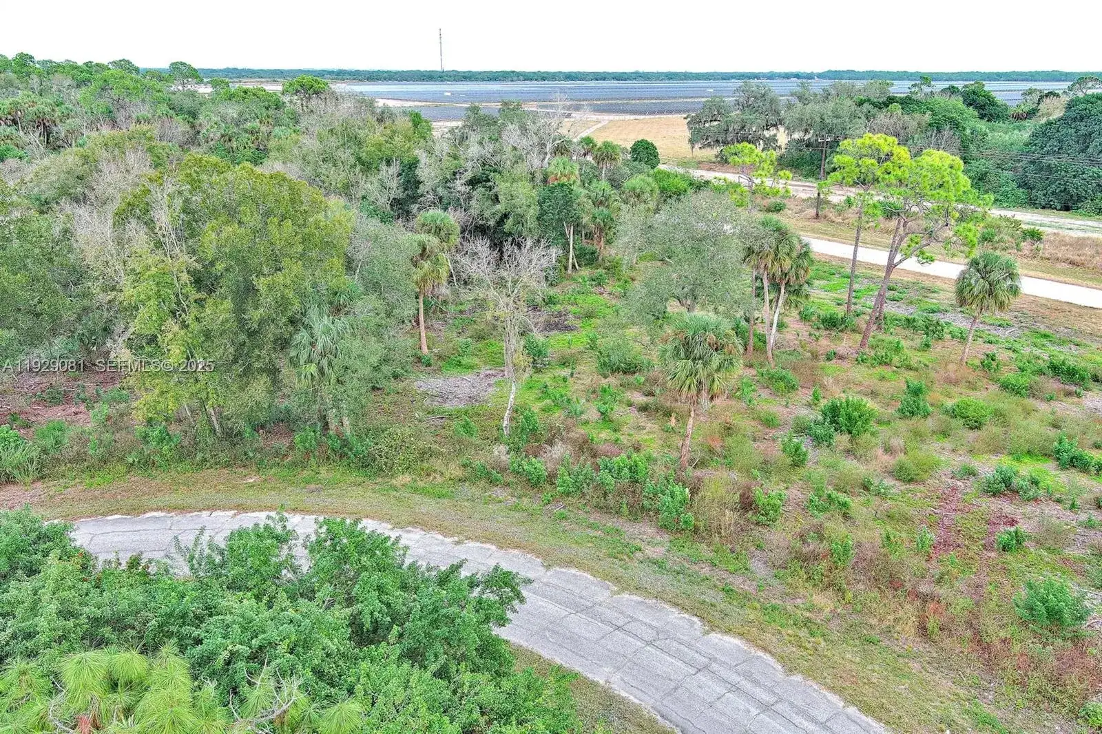 171 CAROUSEL AVE, La Belle FL 33935 photo 3