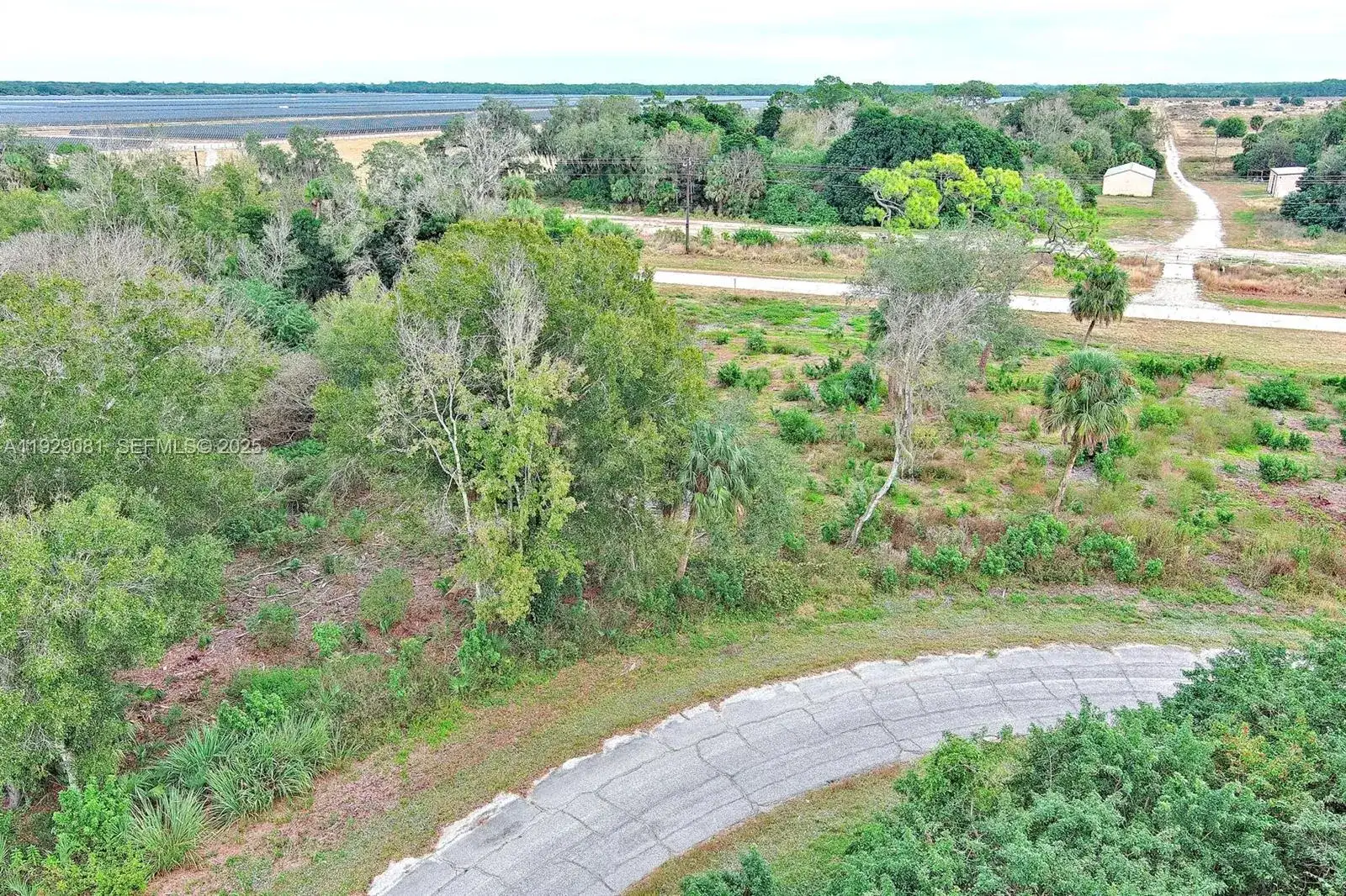 171 CAROUSEL AVE, La Belle FL 33935 photo 4
