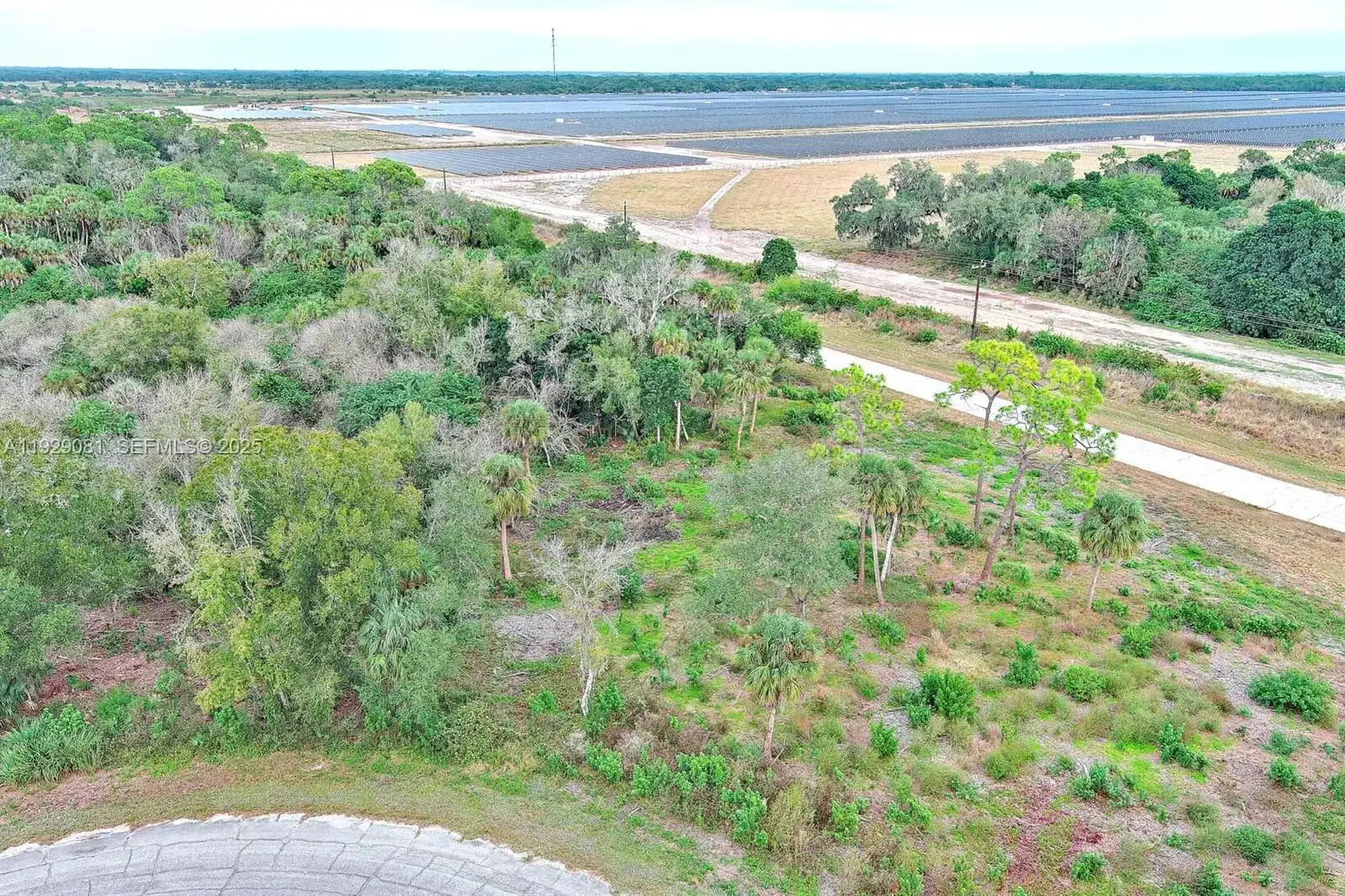 171 CAROUSEL AVE, La Belle FL 33935 photo 5