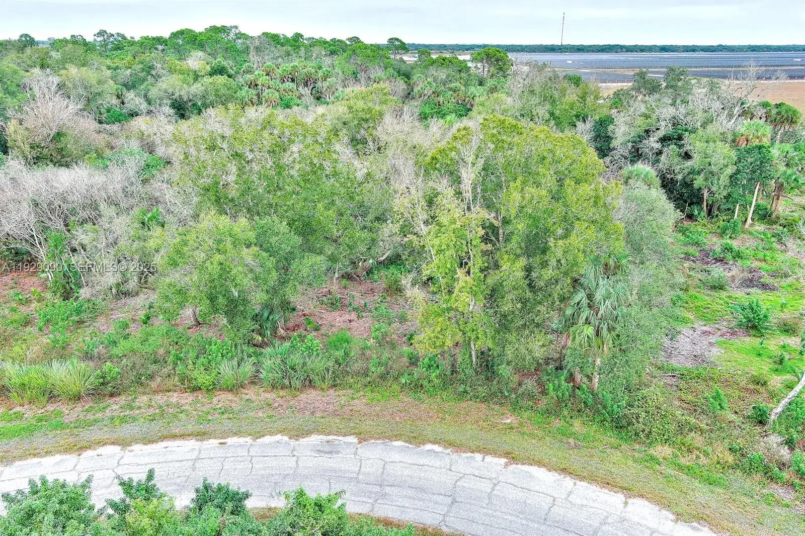 173 CAROUSEL AVE, La Belle FL 33935