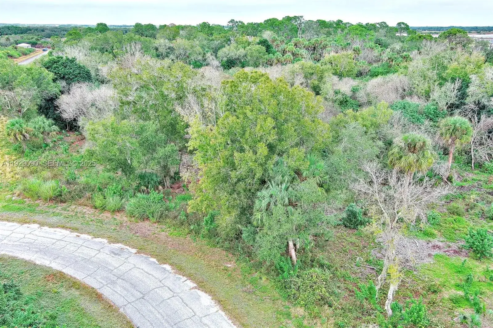 173 CAROUSEL AVE, La Belle FL 33935 photo 4