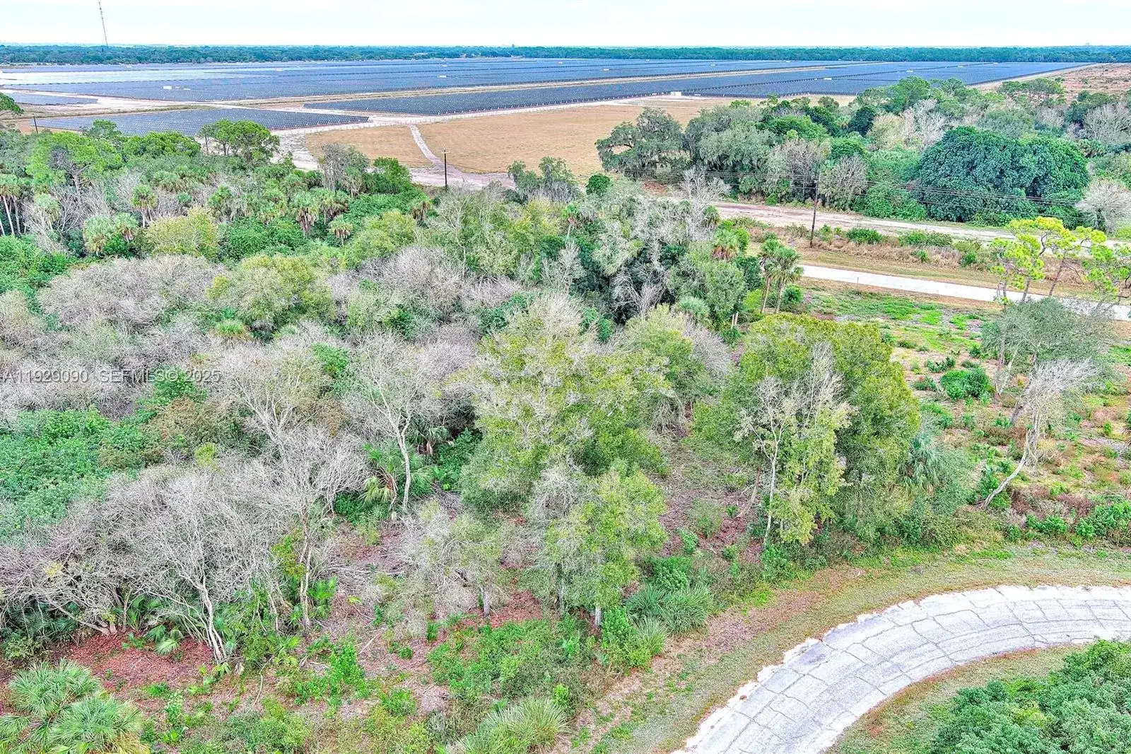 173 CAROUSEL AVE, La Belle FL 33935 photo 5