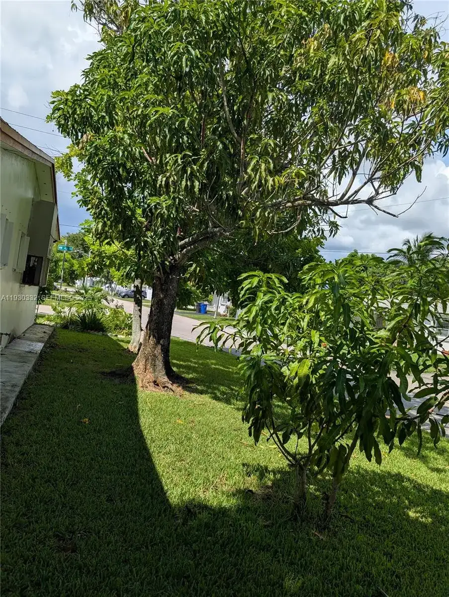 4550 NW 43rd St, Lauderdale Lakes FL 33319 photo 5