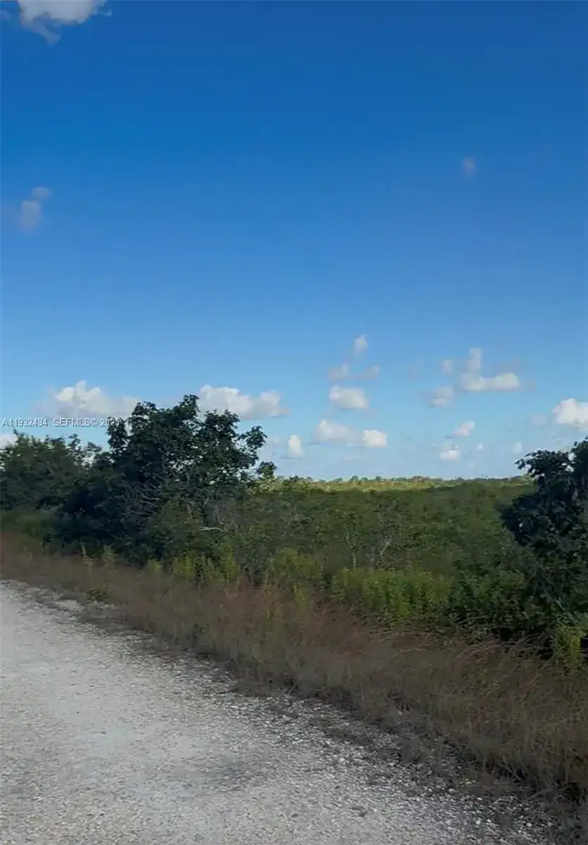 UNINCORPORATED, UNINCORPORATED,, Homestead FL 33035 photo 2