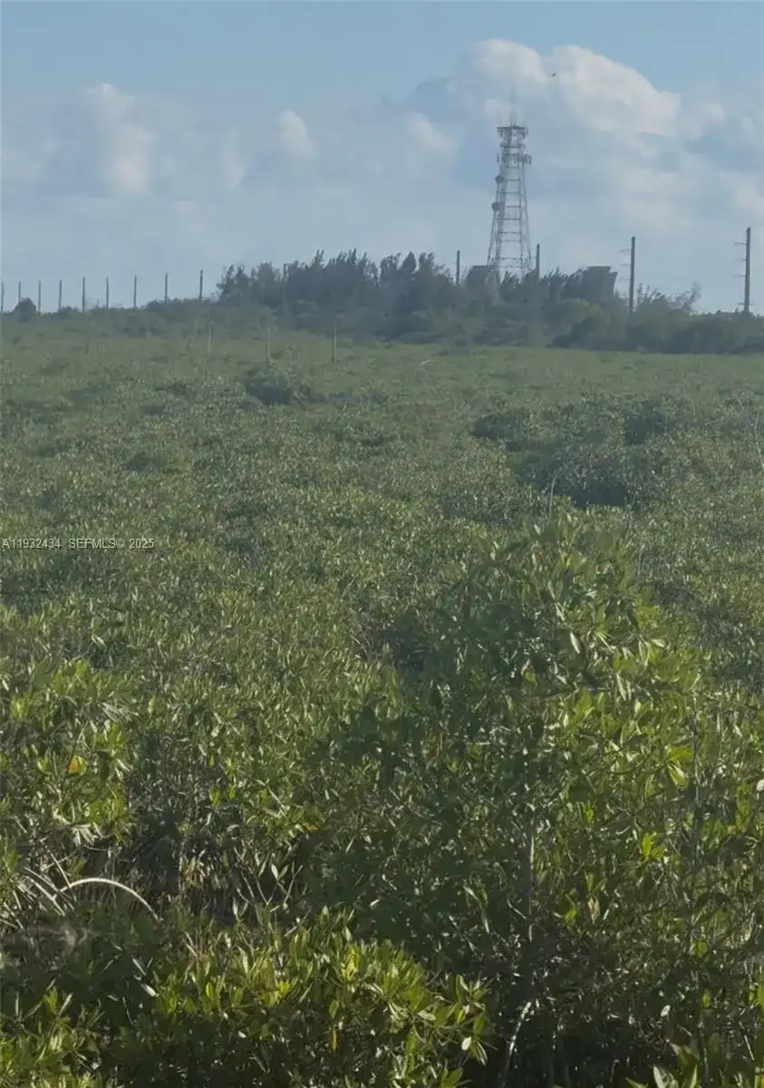 UNINCORPORATED, UNINCORPORATED,, Homestead FL 33035 photo 4