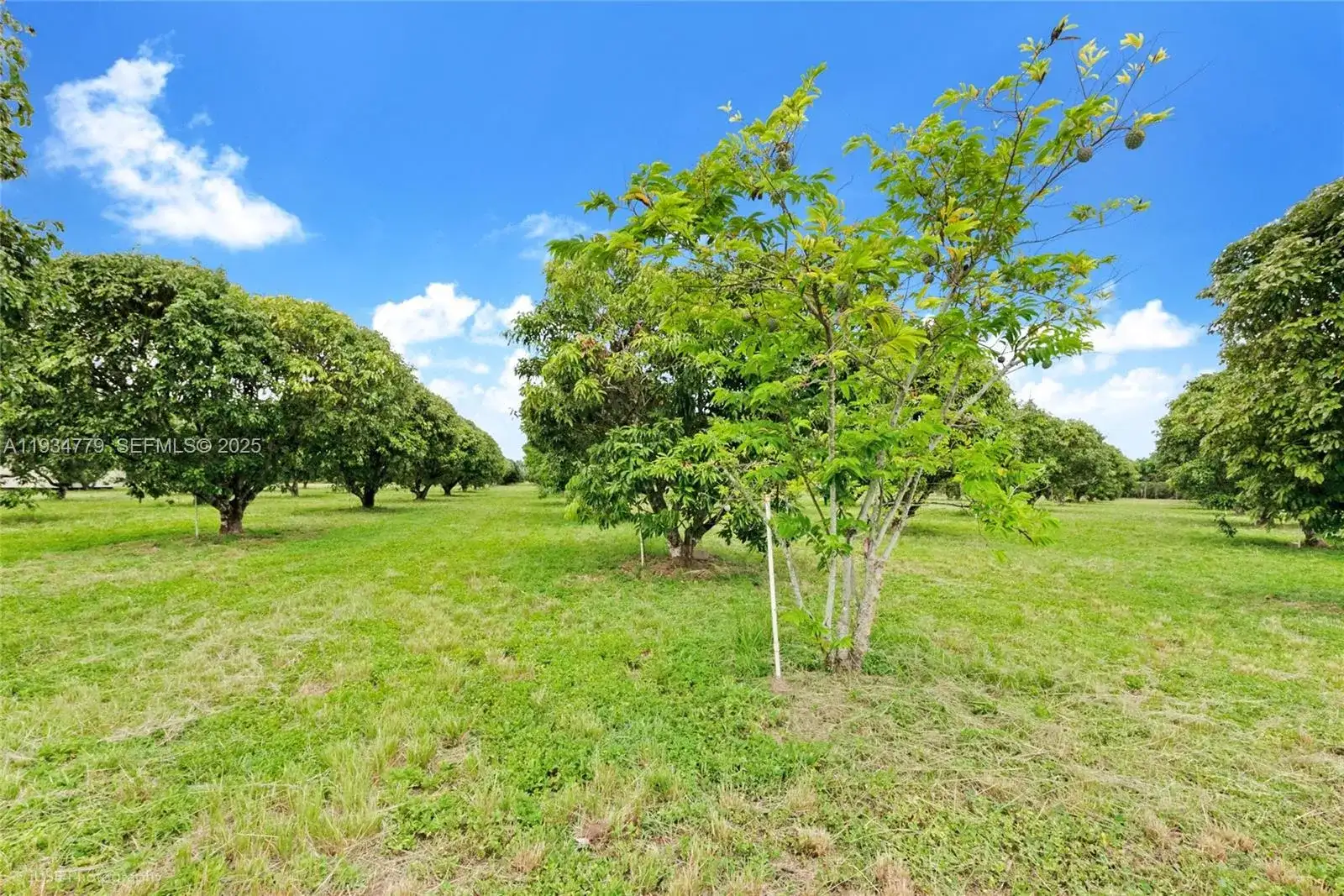 206 SW Street Between 137 Ave & 139 Ave, Miami FL 33177 photo 4
