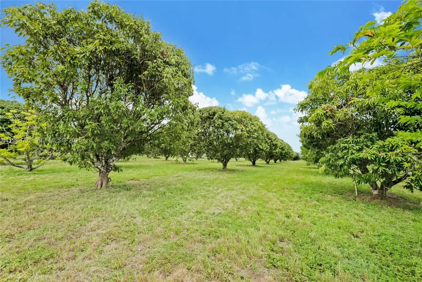 206 SW Street Between 137 Ave & 139 Ave, Miami FL 33177 photo 5