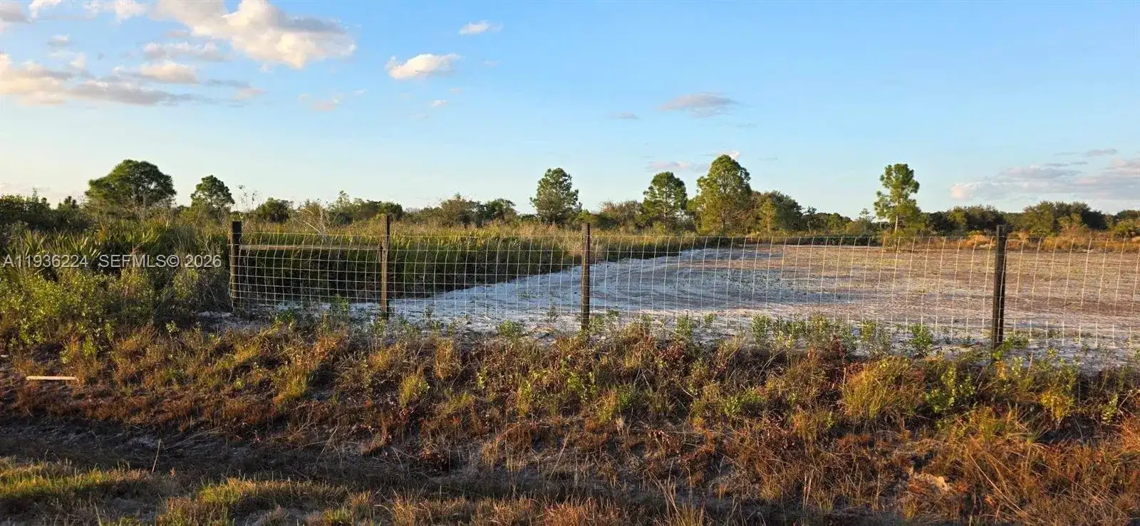 17385 NW 314 st, Okeechobee FL 34972 photo 5