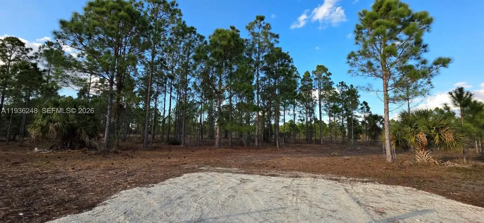 17923 NW 298 st, Okeechobee FL 34972 photo 2