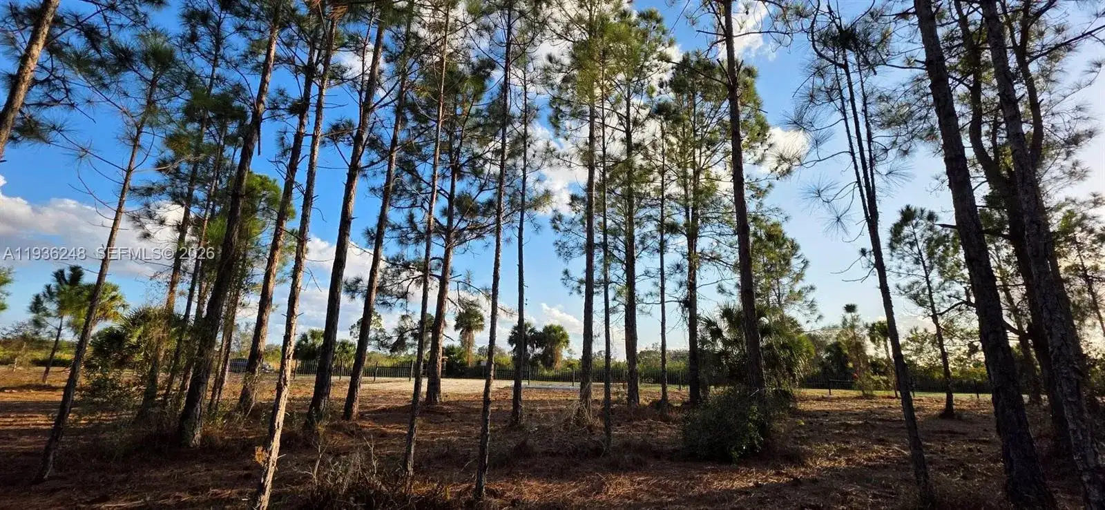 17923 NW 298 st, Okeechobee FL 34972 photo 3