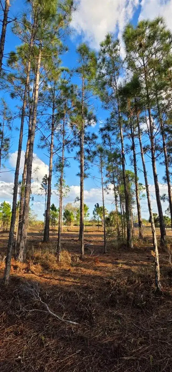 17923 NW 298 st, Okeechobee FL 34972 photo 4