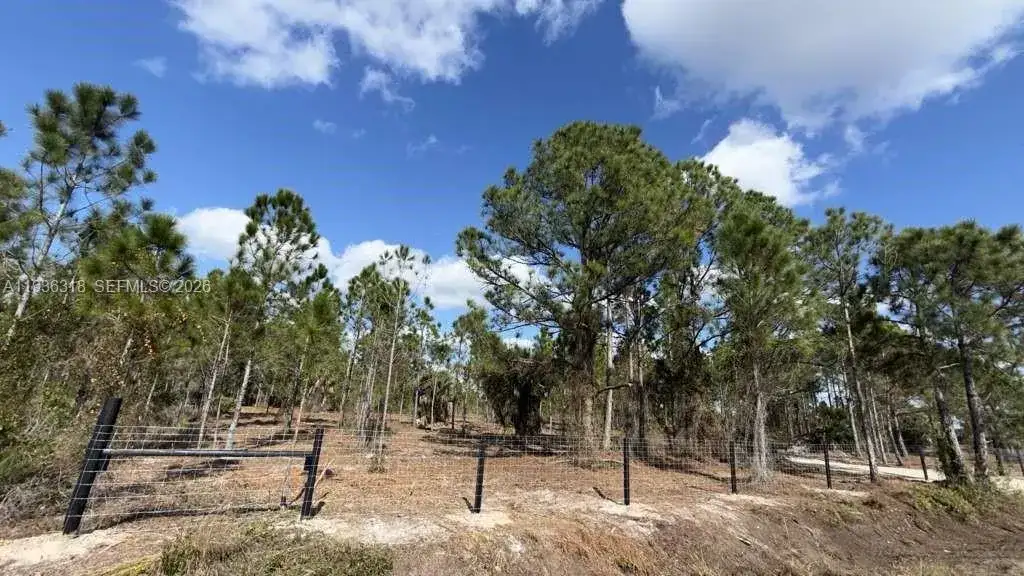 17975 NW 298 st, Okeechobee FL 34972 photo 2