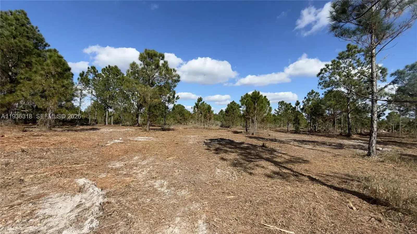 17975 NW 298 st, Okeechobee FL 34972 photo 3