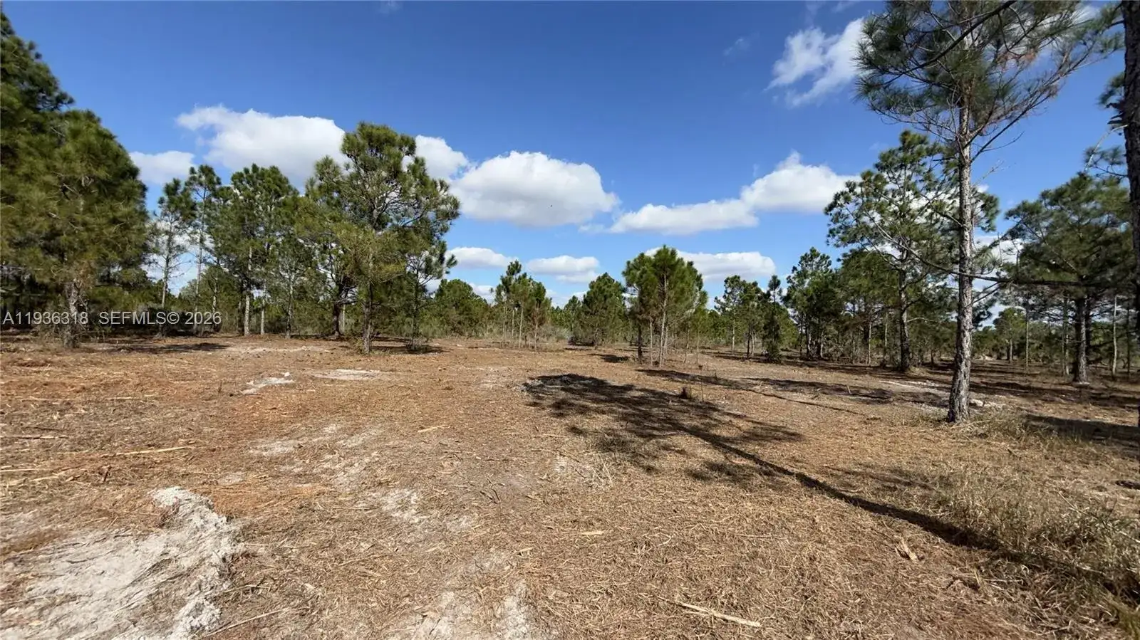 17975 NW 298 st, Okeechobee FL 34972 photo 4