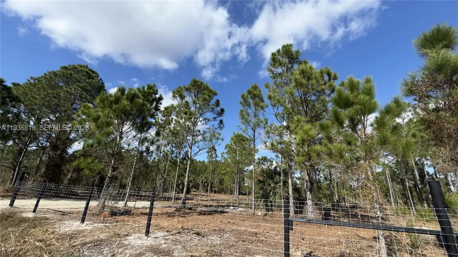 17975 NW 298 st, Okeechobee FL 34972 photo 5