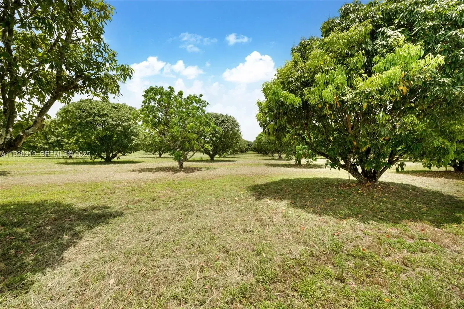 206 SW Street Between 137 Ave & 139 Ave, Miami FL 33177