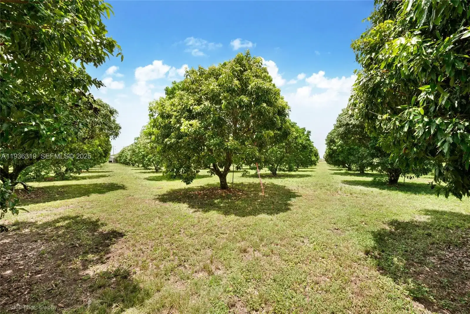 206 SW Street Between 137 Ave & 139 Ave, Miami FL 33177 photo 3
