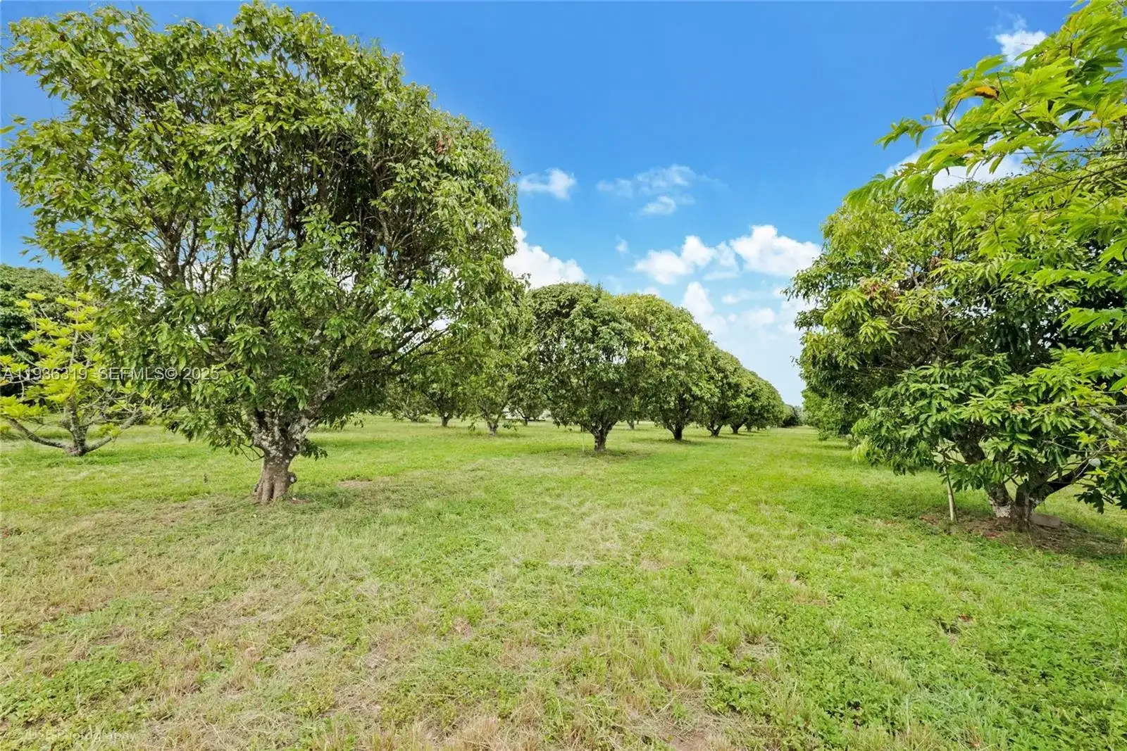 206 SW Street Between 137 Ave & 139 Ave, Miami FL 33177 photo 5
