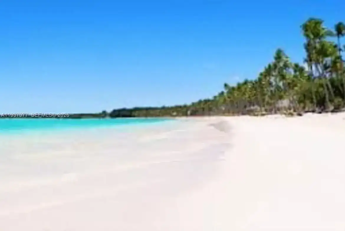Alta Vista l Villa PUNTA CANA, FL photo 2