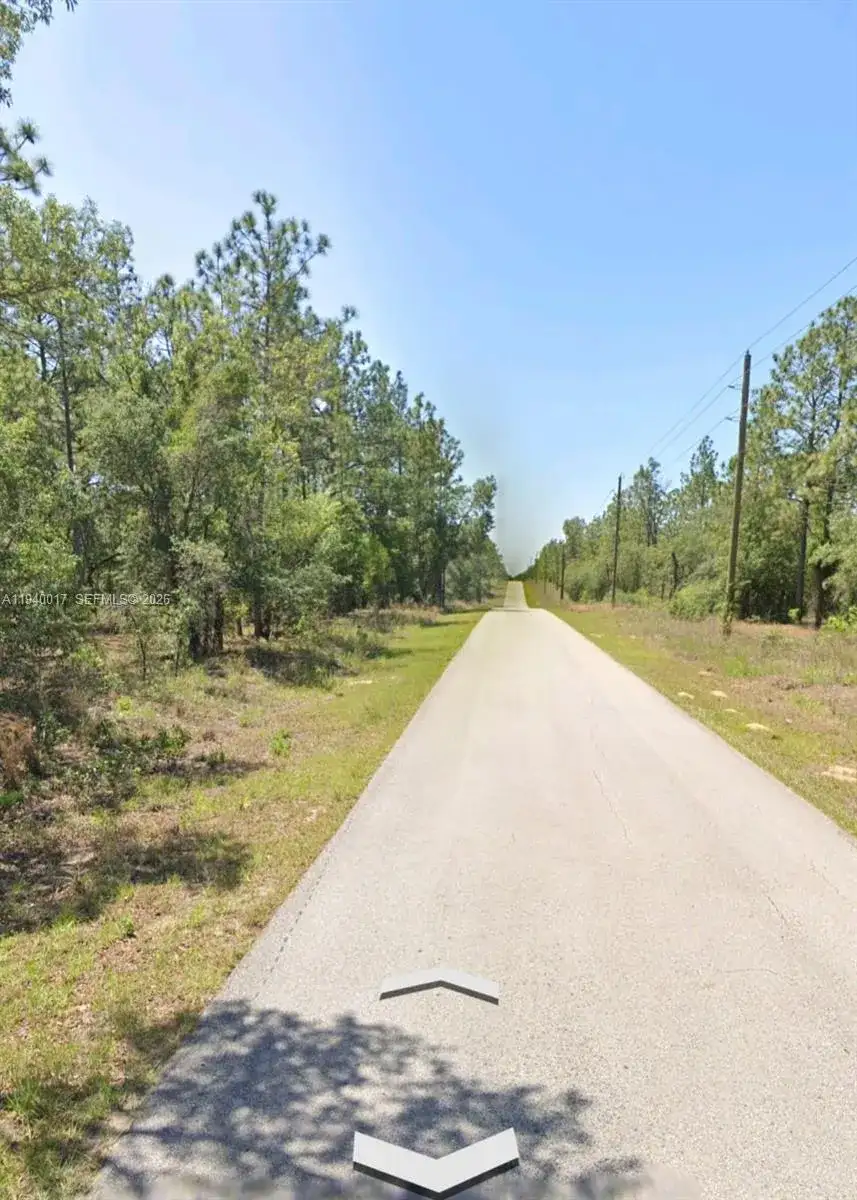 LOTS 1.2 NW Buena Vista Rd, Ocala FL 34431 photo 4
