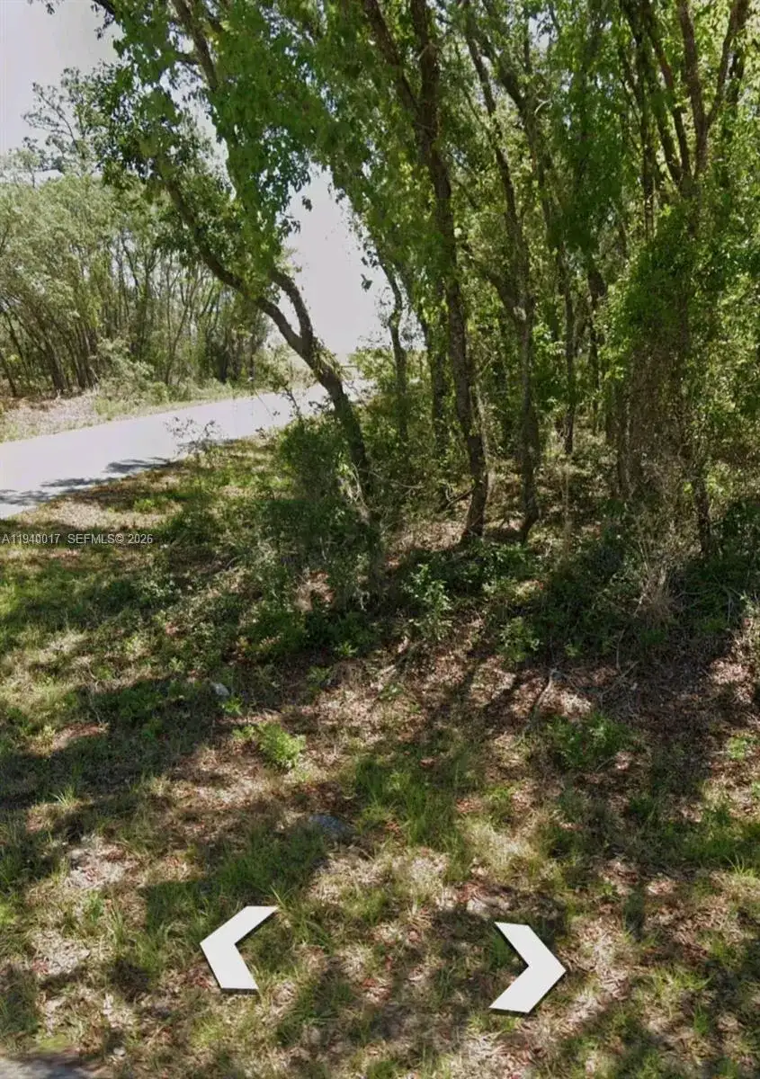 LOTS 1.2 NW Buena Vista Rd, Ocala FL 34431 photo 5