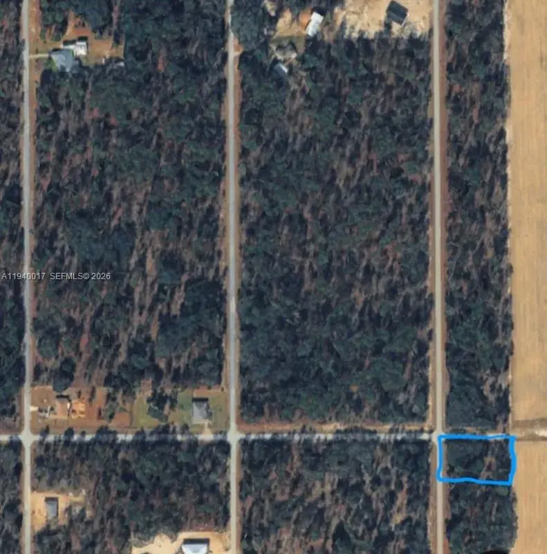 LOTS 1.2 NW Buena Vista Rd, Ocala FL 34431