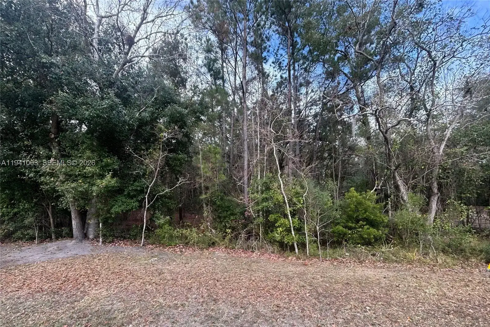 0 Landward, Other City - In The State Of Florida FL 32068 photo 2