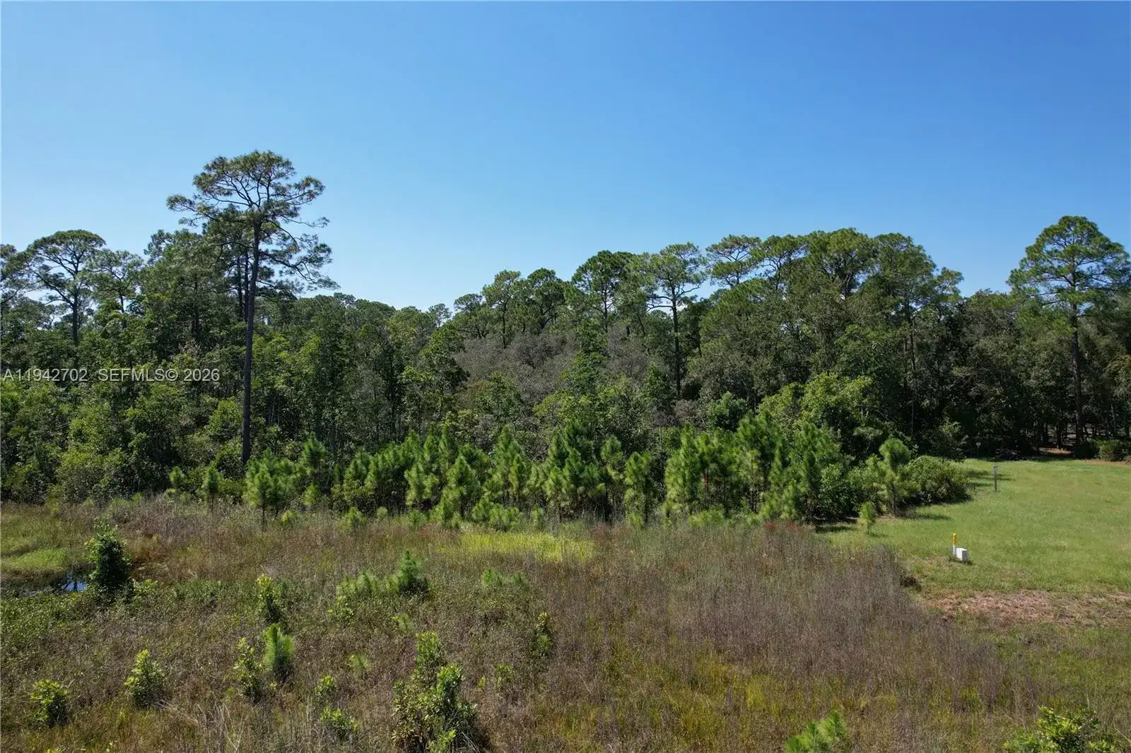 0 JB CARTER RD, Other City - In The State Of Florida FL 33844 photo 5