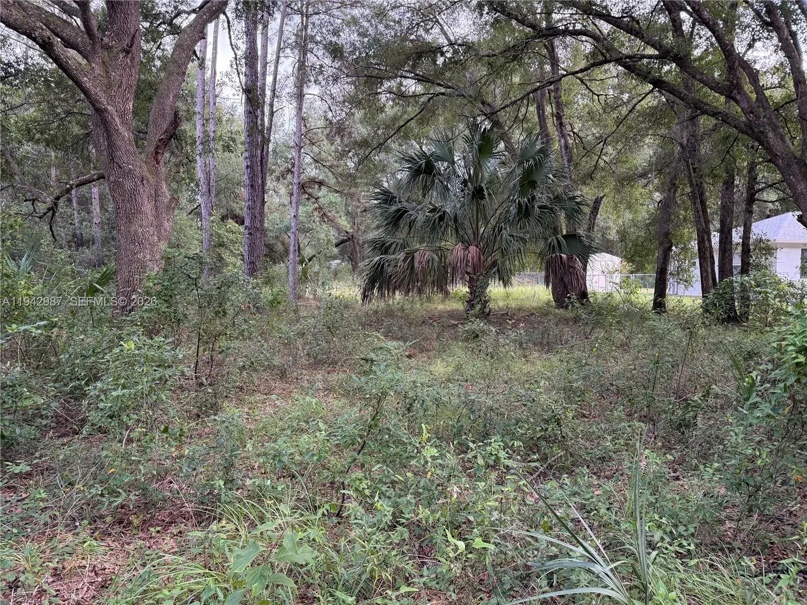 0 St Benedict Dr, Other City - In The State Of Florida FL 34432