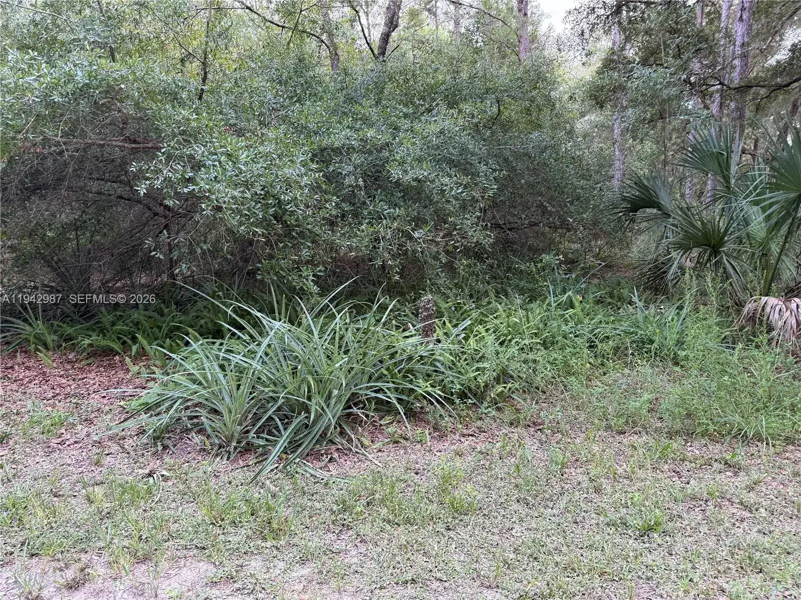 0 St Benedict Dr, Other City - In The State Of Florida FL 34432 photo 2