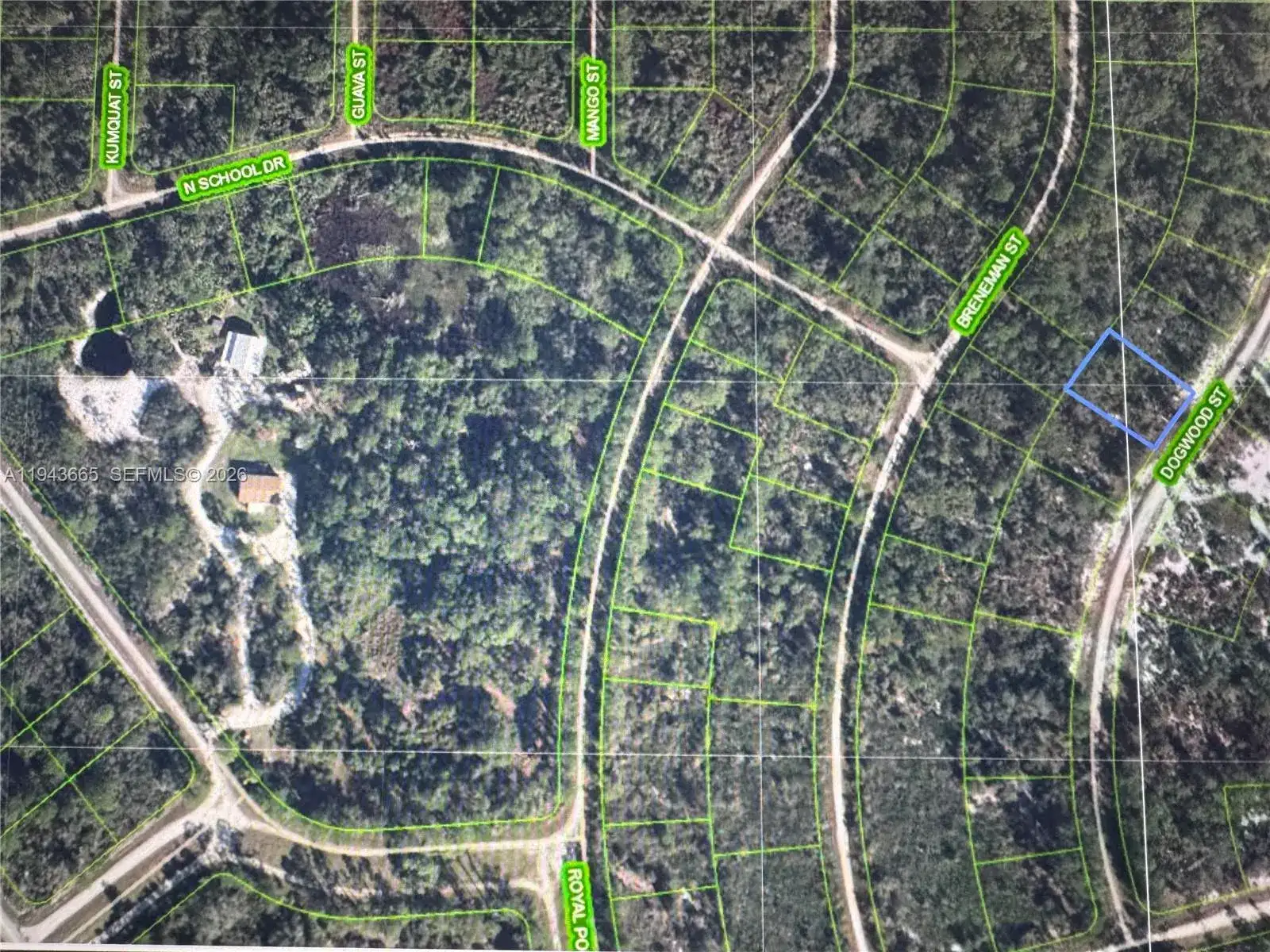 1230 Dogwood, Lake Placid FL 33852 photo 2