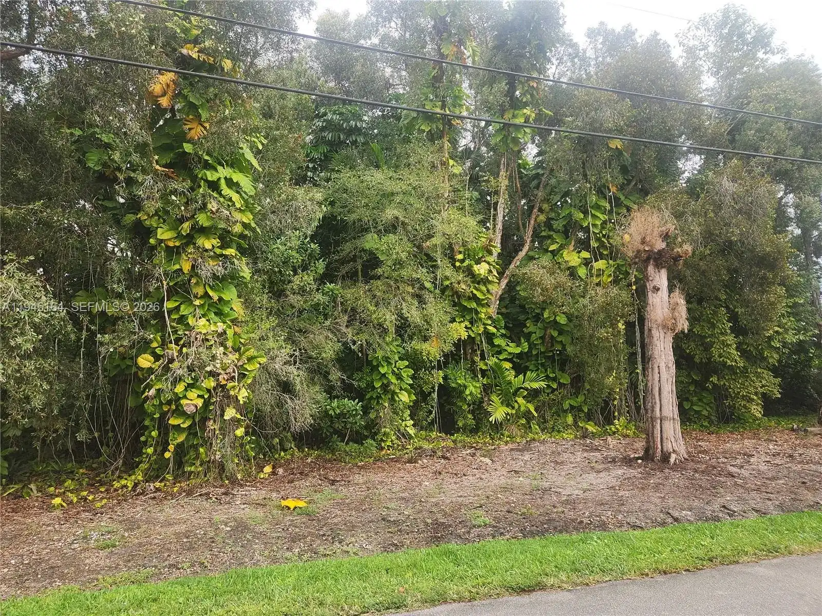 12061 NW 27th St, Plantation FL 33323