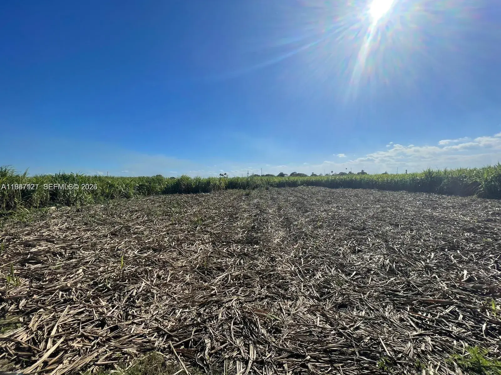 80 State Road, Unincorporated Palm Beach County FL 33440