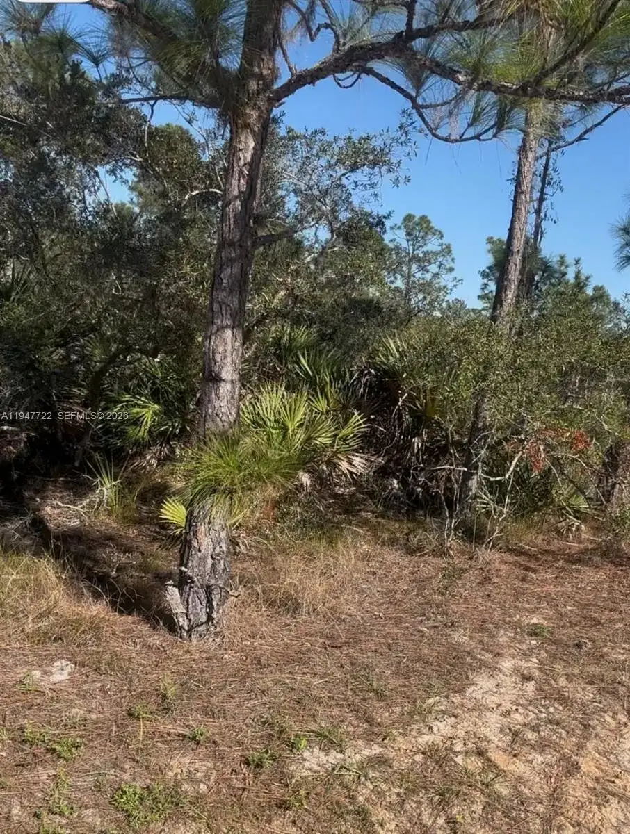 1846 NOLANA AVE, Sebring FL 33875 photo 3