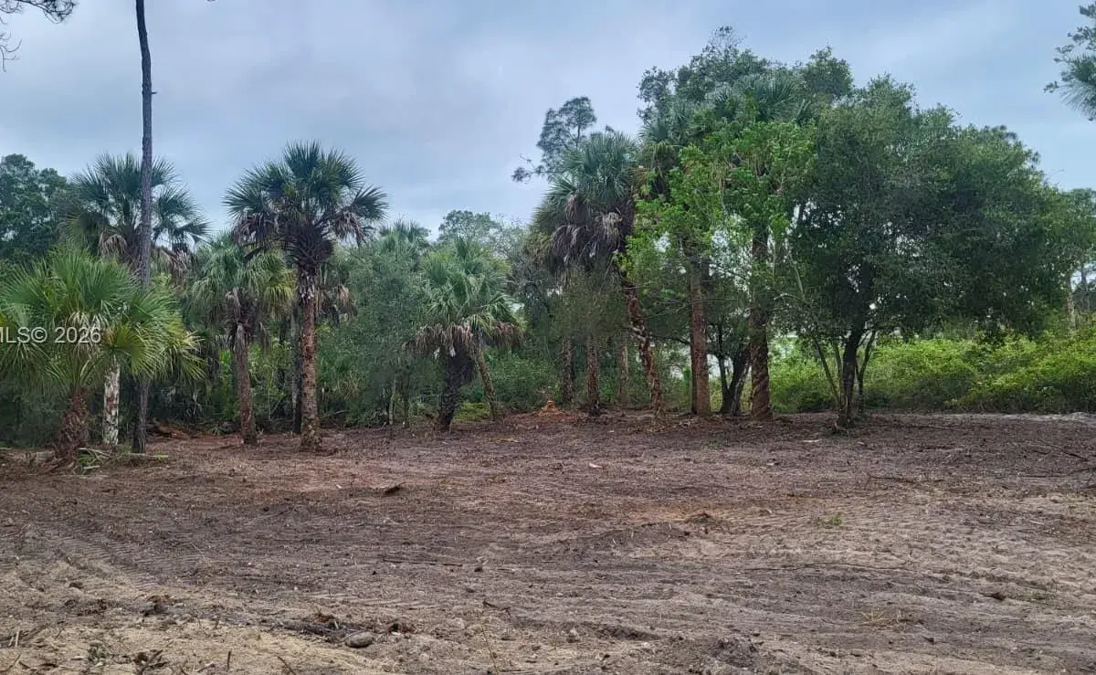 315 Ivanhoe Ave, La Belle FL 33935
