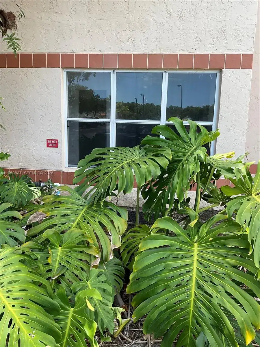 3320 N Pinewalk Dr N # 1715, Margate FL 33063 photo 5