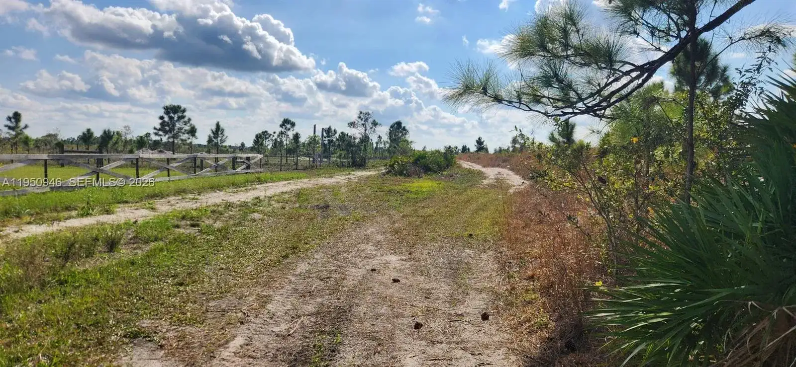 48345 Bermont Rd, Punta Gorda FL 33982 photo 5