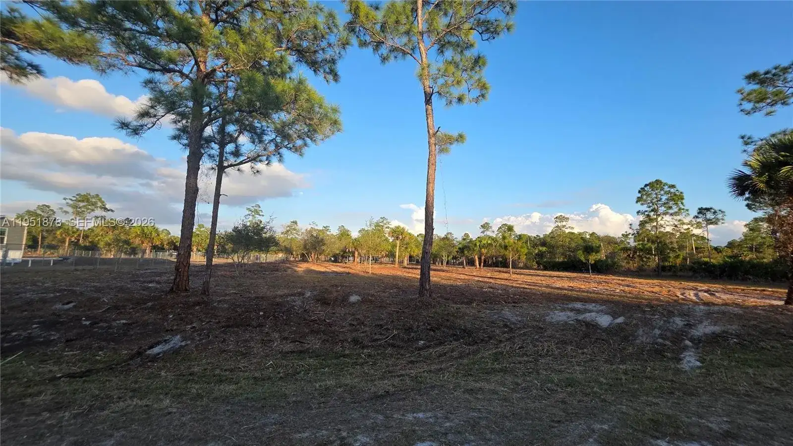 545 S Datil ST, Clewiston FL 33440 photo 4