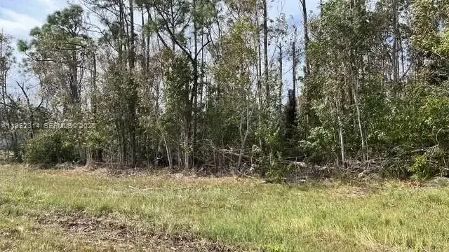 4732 NW 39 Place, Other City - In The State Of Florida FL 33993 photo 4