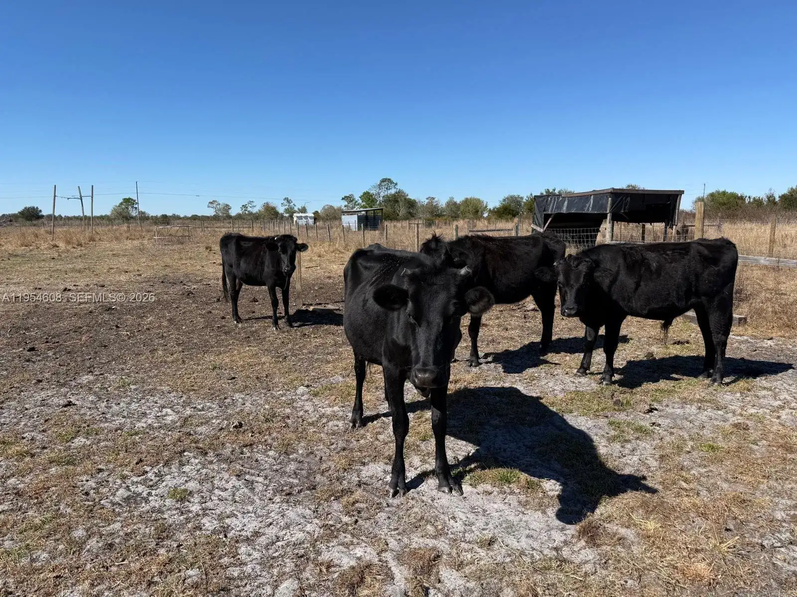 286 LOTT GRADE, Other City - Not In The State Of Florida FL 33960 photo 2