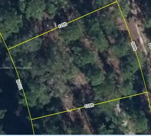 6203 BANYAN RD, Sebring FL 33875 photo 5